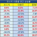 코스닥 시총별 연간 상승률. 시황맨 이미지