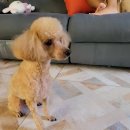 38점5도씨 이미지