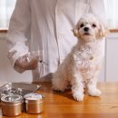 24시 딜라이트 동물의료센터 이미지