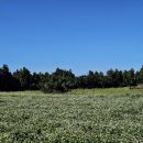 수희식당 이미지