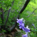 석수농장 이미지