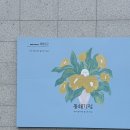 부산기정떡잔기지떡;판기지떡 | 강릉떡집 동해기정, 기정떡으로 즐기는 강릉 여행 필수코스