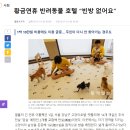 캣틀리에 이미지