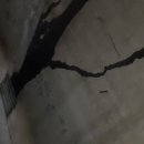 대양판지 노동조합 이미지