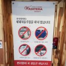 워시테리아올레 이미지