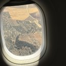 대호사 | 스페인 여행기🇪🇸-그라나다