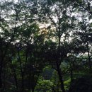 금화계곡주차장 이미지