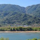 섬진강 매화 나루 이미지