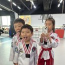 합기도 을지관 총본관 이미지