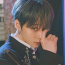 이레비디오 이미지