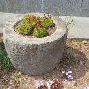 계룡산한의원 이미지