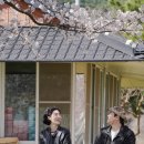 시골집 - 당진시 | 시골집