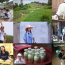 삼형제목장 이미지