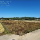 남해-194 이미지