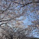 동부(양산시)건강생활지원센터 | 양산 방문요양 실제 후기 🌸 새양산 주간보호센터 상북면 이용 솔직 리뷰