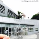 17.07.01 한일 슈퍼락 후기