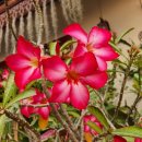 큐브 호텔 이미지