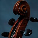 원광초교 이미지