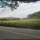 이반성면-1 이미지