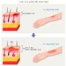 서울의료보건고등학교 이미지