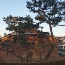 영락경로당 이미지