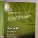 참숯가마찜질방 | 제주 참숯가마 찜질방 솔직 후기 몸이 가벼워졌어요