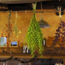 누룽지게스트하우스 이미지