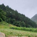 세호농장 이미지