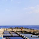 서인풀빌라 이미지