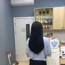 살롱드르망 이미지