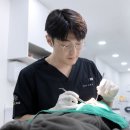 더365치과의원 이미지