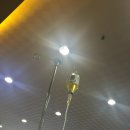 화정벌의원 | 아토피, 비염 때문에 일산 화정벌의원 재방문했어요:-)!