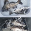 순천대물낚시 이미지