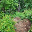 푸른숲펜션 이미지