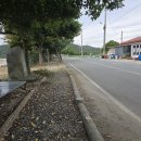 회천생태공원 야구장 이미지