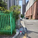 평택청아초등학교 이미지