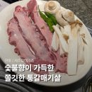 7064 | 제주 연동 맛집 제주갈매기촌 통갈매기살 2인분 후기