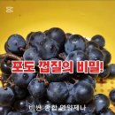 포도는 이렇게 먹어야 영양을 제대로 흡수합니다 이미지