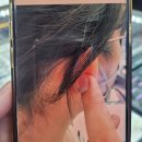 아이스타일안경 이미지