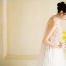 로그스튜디오 이미지