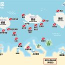 제주스쿠버스쿨스쿠버다이빙