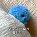 마일드무무