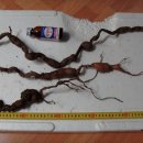 월영동017 이미지