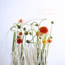 벤자민&데이지 이미지