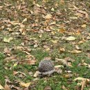 카이스크린골프연습장 이미지