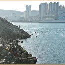 남항대교 이미지