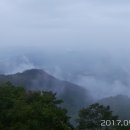 서린경로당 Daum카페