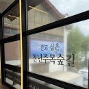 강원도 평창 발왕산케이블카 타고 가는 천년주목숲길과 발왕산부엉이빵