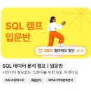 <추석특별프로그램> | 데이터리안 [SQL 입문반 추석 프로그램 45기] 후기
