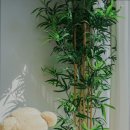 물소리길가 이미지